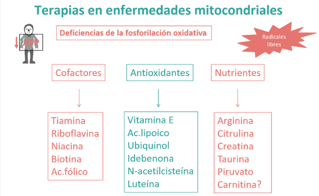 Terapias en enfermedades mitocondriales. Guía Metabólica Hospital Sant Joan de Déu Barcelona