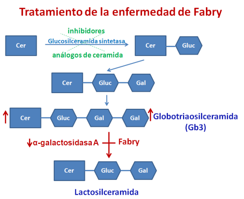 Tratamiento de la enfermedad de Fabry